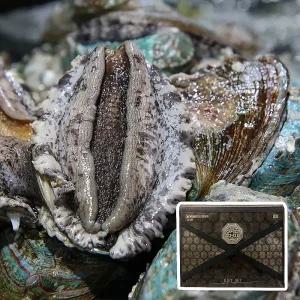 프리미엄 활전복 선물세트 1.5kg 10-12미