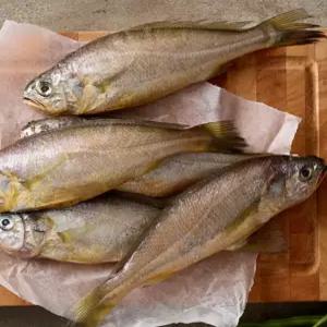 국산 제주 참조기 손질 선물세트 냉동 제수용 답례품 수산물 명절 설 설날 구정 단체 어르신 선물