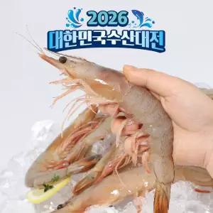 훈훈수산 제철 자연산 대하 암 서해 국내산 특대 왕새우 1kg 1개