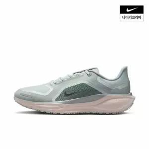 백화점 나이키 페가수스 41 GORETEX FQ1356007