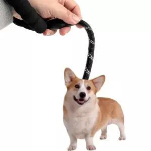 대형견목줄 검정 3m 대형견리드줄 로프