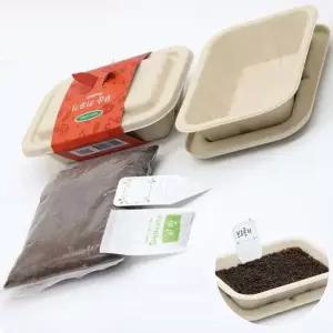 이름표 배양토 씨앗 화분 새싹 만들기 세트