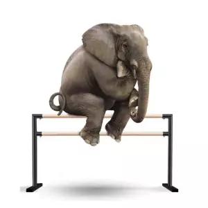 발레바 무용학원 바 발레봉 클래식 연습 이동식 댄스 필라테스