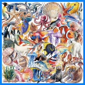 50PCS 해양 동물 만화 스티커 문어 껍질 물고기 DIY Scrapbooking 고정 여행 수하물 노트북 방수 애완 동물