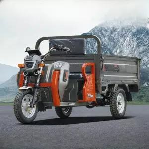 전동 오토바이 전기 삼륜 농업용 운반차 트럭 사발이