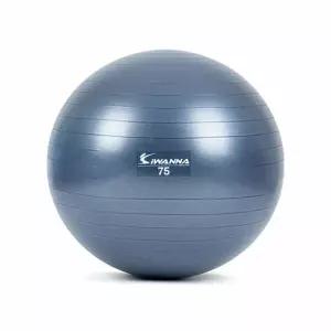 아이워너 안티버스트 파스텔 짐볼 75cm 블루인디고