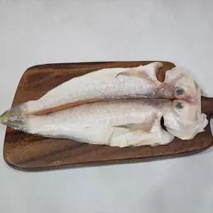 제주도 반건조 옥돔 5미