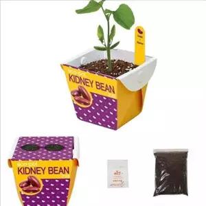 베란다 종이 화분 세트 미니 홈 가드닝 세트 관찰 텃밭