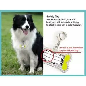 집사사랑 애견 펜던트 인식표 뼈다귀문양 M 애견이름표 반려동물악세사리