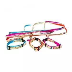 강아지 조이 목줄 리드줄 세트 색상랜덤 10mm 1P 산책 애견산책줄세트