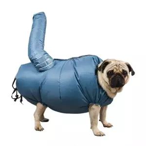 반려동물 전용 목욕 드라이룸 강아지 고양이 드라이기