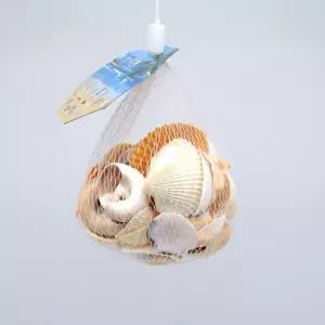 조개껍질 조개껍데기 140g 160g