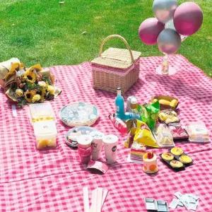 대형 방수 피크닉매트 1P (레드체크)