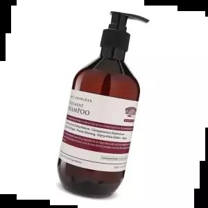 풍성한머릿결 프라젠트라 안티 헤어로스 트리트먼트 샴푸 500ml