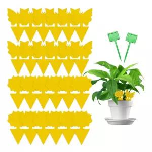 초파리 트랩 20매+픽10개 끈끈이 화분벌레 파리트랩 영이네가든트랩