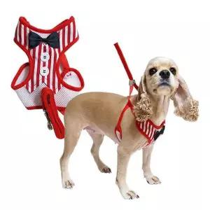 우쭈쭈 턱시도 하네스 세트(스트라이프)