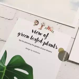 수채화 마스킹 테이프 황량한서부 다이어리꾸미기 다이어리데코 다꾸용품 다꾸테이프