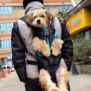 강아지카시트 고양이 반려동물 1PC 앞 개 캐리어 배낭 하이킹 사이클링