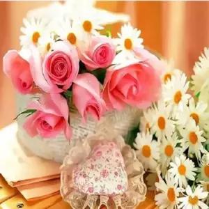 DIY 셀프 피포 페인팅 명화 컬러링 장미 들국화 명화 홈갤러리 diy명화 명화그리기