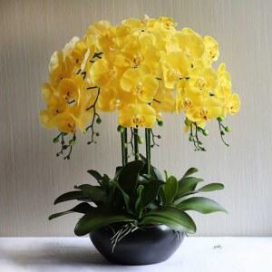 조화 화분 서양란 가짜꽃 인테리어 탁상용 거실 카페 축하