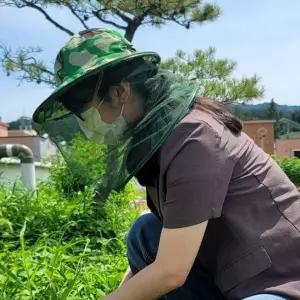 벌모자 양봉 방충모자 벌햇빛 보호모자