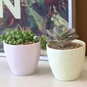 인테리어 다육 화분 도자기 다육 화분 파스텔 가드닝 작은 키트