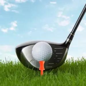 골프티 숏티 48mm 티꽂이 20개입