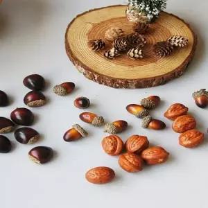 가을 겨울 소품 견과류 미니어처 호두 밤 도토리 솔방울 대추 땅콩
