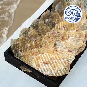 두꺼운 쥐포 중(M) 500g / 무료배송 두툼한 참쥐포 술안주