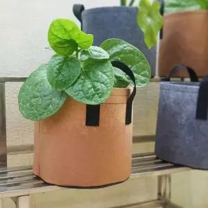 부직포 화분 2p 세트 가드닝 모종 분갈이화분 그로우백 식물파우치