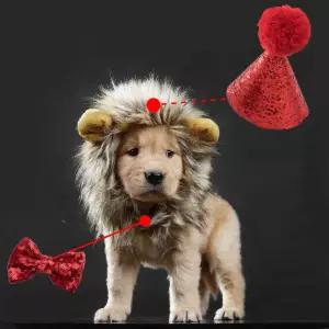 (무료배송) 강아지생일모자