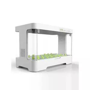 실내용 야채 재배기 수경재배기 텃밭만들기 채소키우기