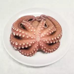 참맛나는 산지직송 국내산 제수용 활 돌문어 1kg (1미)