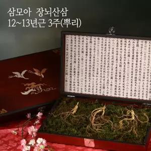 [삼모아] 장뇌산삼(산양산삼) 12-13년근 3뿌리(VIP선물세트)