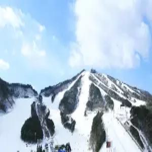 [강원] 웰리힐리파크(강원호텔/횡성호텔/횡성웰리힐리파크)