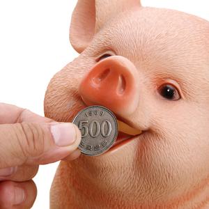 진짜돼지저금통 리얼돼지저금통