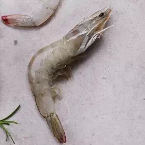 [바른씨]신선한 냉동 흰다리새우 2kg 페루산 (특대/대/중/소)