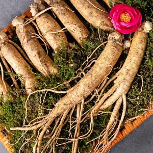 고급 금산 인삼선물세트 750g+공단보자기 직송 고려 수삼 선물용 명절 1채 포장
