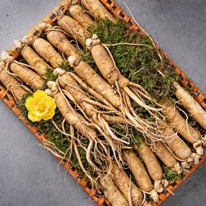고급 금산인삼 선물세트 1kg+공단보자기 직송 고려 수삼 명절 1채 선물용 포장