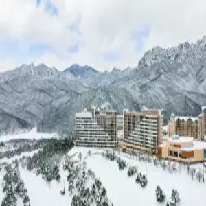 소노펠리체 델피노