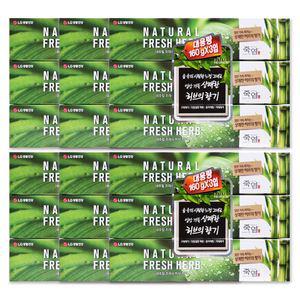 엘지 죽염 네추럴 프레쉬 허브 치약 160g 3입 X 6개