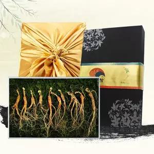 [롯데백화점]디씽컴퍼니 [천향]강원도 산양삼 9-10년근 10뿌리