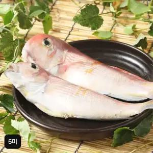 [NS홈쇼핑]제주어멍 제주옥돔 180gX5마리[32997666]