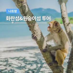 [나트랑] 베나자 화란섬 원숭이섬 투어 