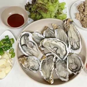 보령천수만 천북굴석화 매일새벽 조업한 싱싱한 명품석화