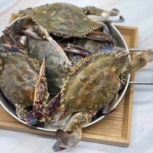 급냉 활 국내산꽃게 제철꽃게 숫꽃게 암꽃게