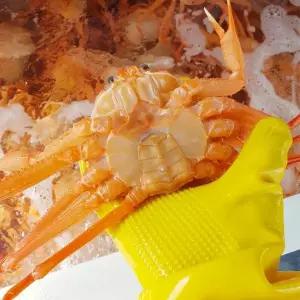 [NS홈쇼핑]포항 구룡포 자숙 홍게/대게 실속형 8-12마리 당일조업[35035600]