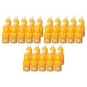 제주향 감귤 천혜향 100 프로 착즙 주스 330ml (30개) NFC 제주 천연 프리미엄