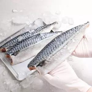 원프로즌 노르웨이 고등어 180-210g x 10팩 한번얼린 고등어 노르웨이 산지가공