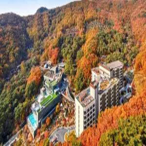 [충북] 포레스트 리솜  앤  레스트리(충북호텔/제천호텔/제천포레스트 리솜  앤  레스트리)